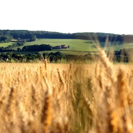Hoeve Hommerich Apartment *