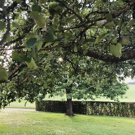 Hoeve Hommerich
