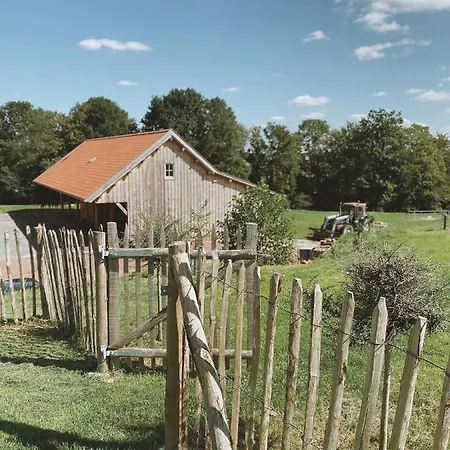 Hoeve Hommerich Apartment