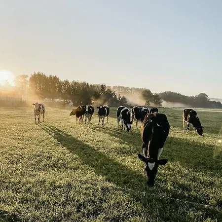 Hoeve Hommerich * Gulpen-Wittem